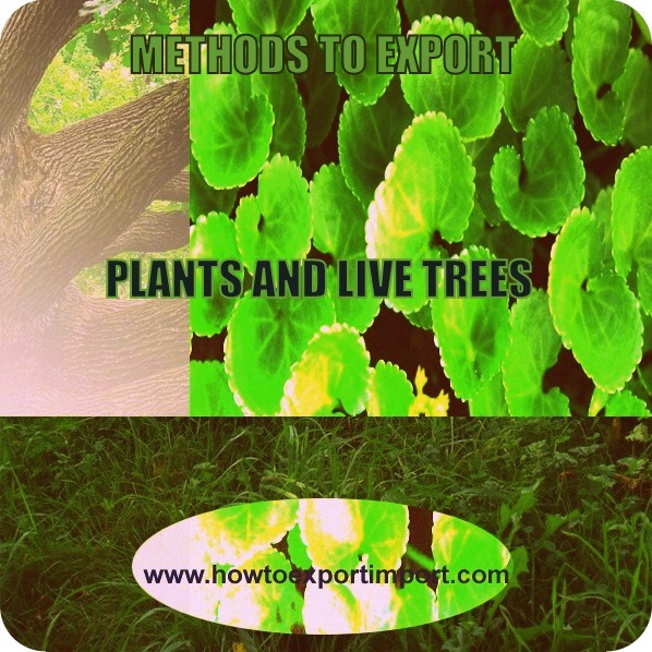 Indian Tariff Code ITC for LIVE TREES OTHER PLANTS